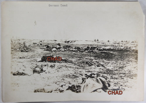 WW1 photo of dead German soldiers in a field