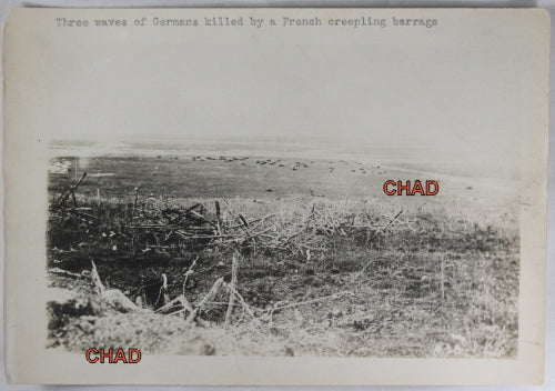 WW1 photo of field with German soldiers killed by French barrage