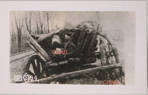 WW1 photo postcard of dead soldiers in cart