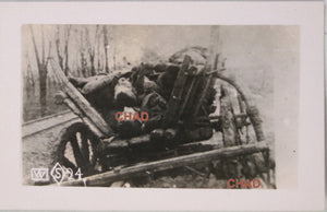 WW1 photo postcard of dead soldiers in cart