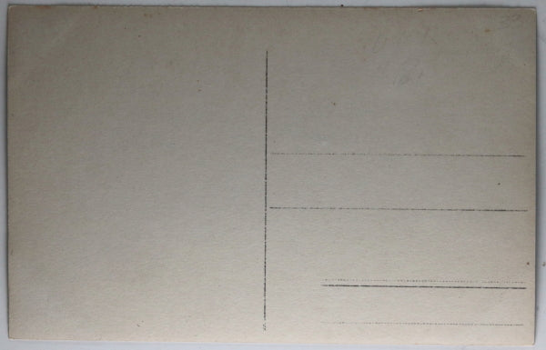 WW1 photo postcard of numerous German war dead in forest