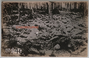 WW1 photo postcard of numerous German war dead in forest