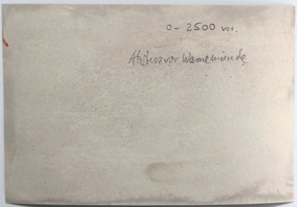 WW1 photo plan crashed into harbour Warnemünde Germany