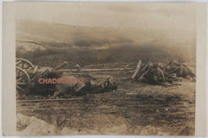 WW1 photo postcard of artillery horses KIA