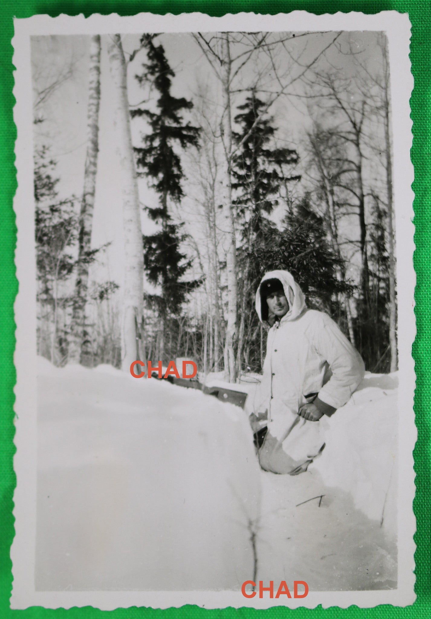 WW2 German soldier in winter camouflage (Russia?)