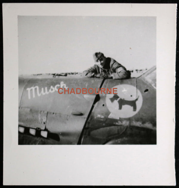 WW2 Luftwaffe set of 2 photos of fighter plane with terrier on fuselage