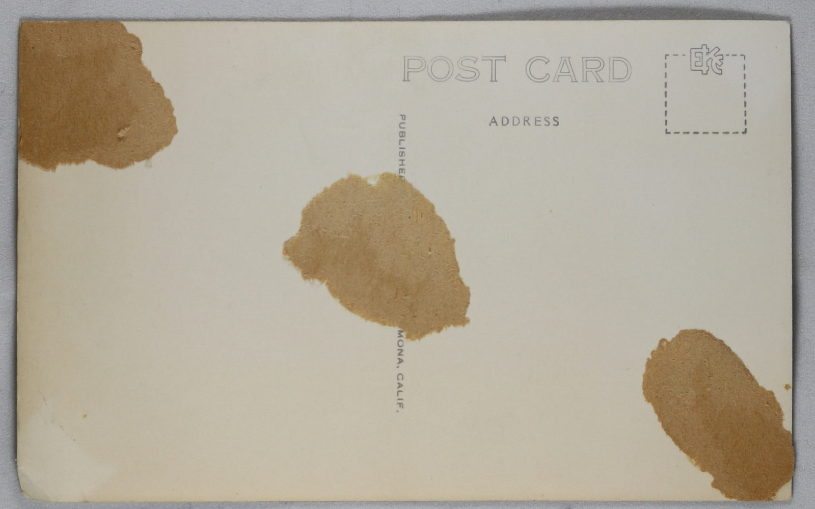 WW2 Photo Postcard B18A bombers of the 38th Recon Sqdr