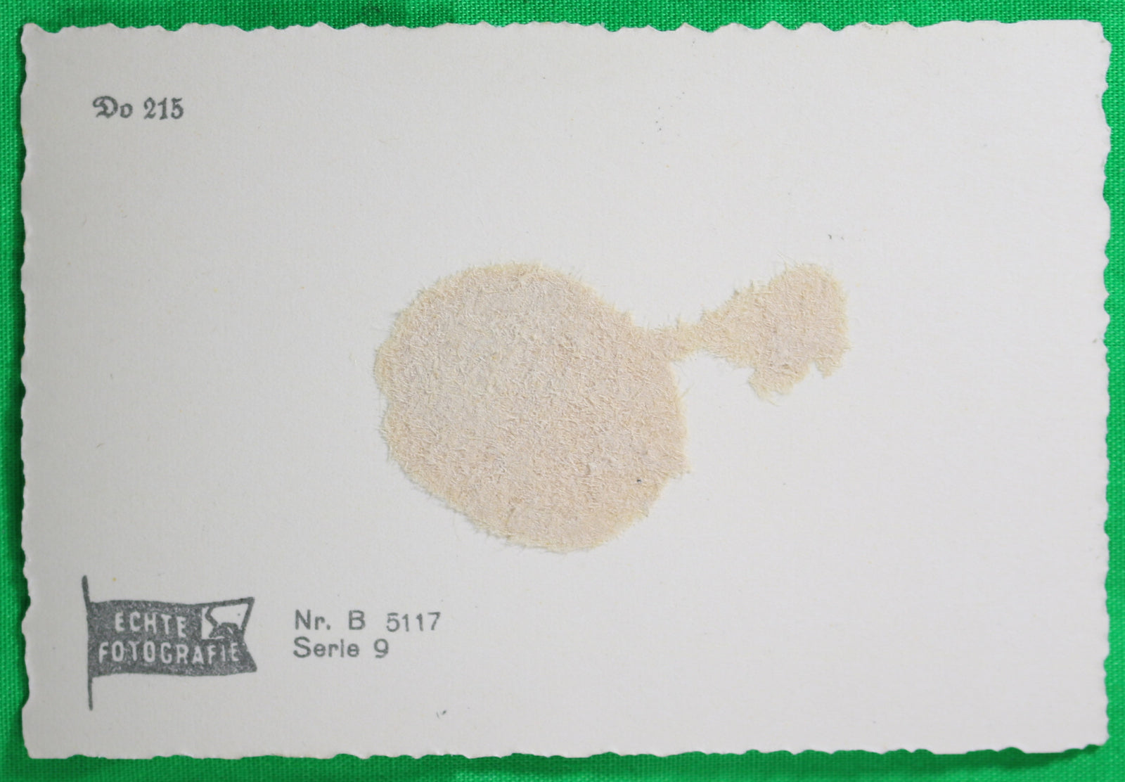 WW2 Propaganda photo German Dornier Do 215 in flight