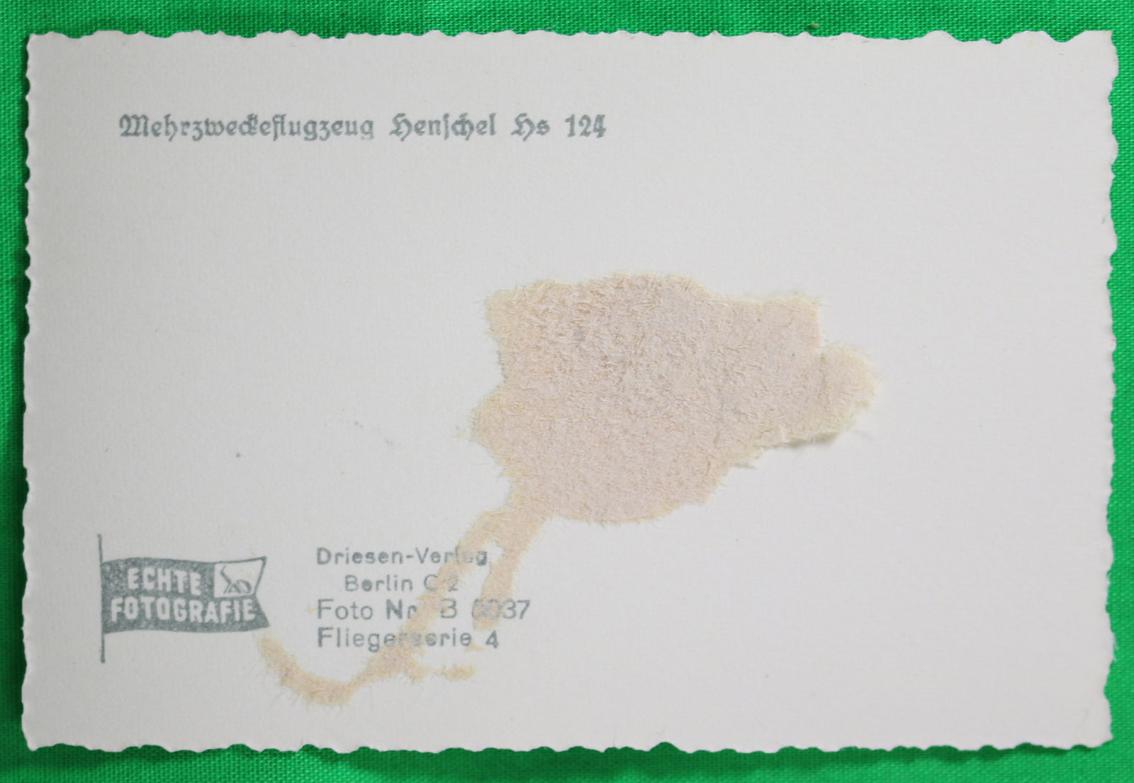 WW2 Propaganda photo German Henschel Hs 124 on grass