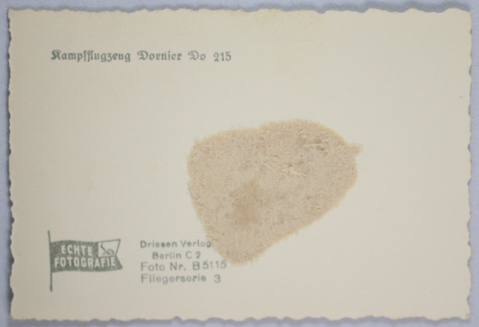 WW2 Propaganda photo German Dornier Do 215 bomber banking