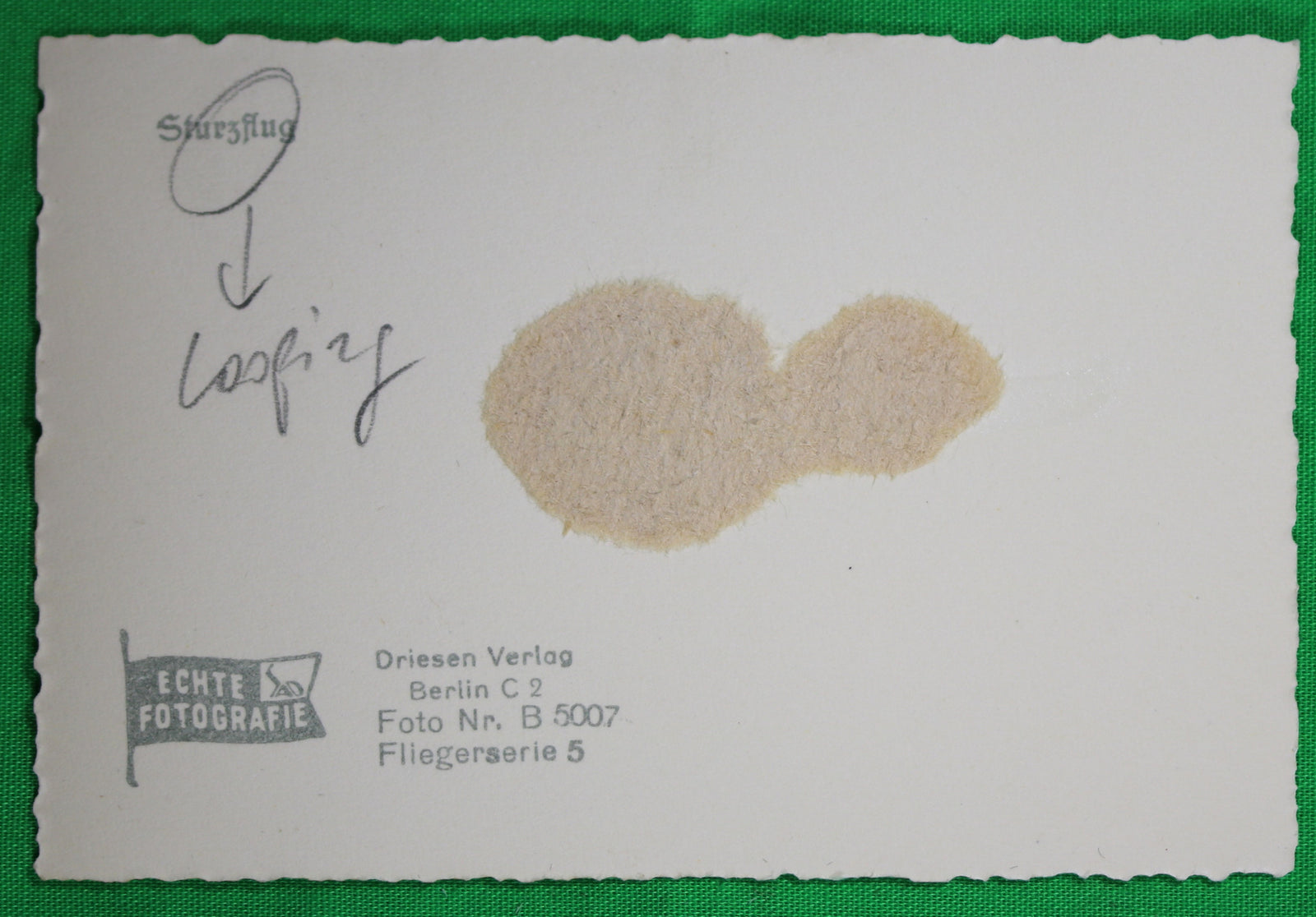 WW2 Propaganda photo of two diving German biplanes