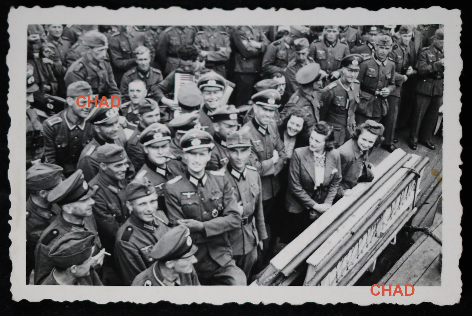 WW2 photo German Wehrmacht officers at social event