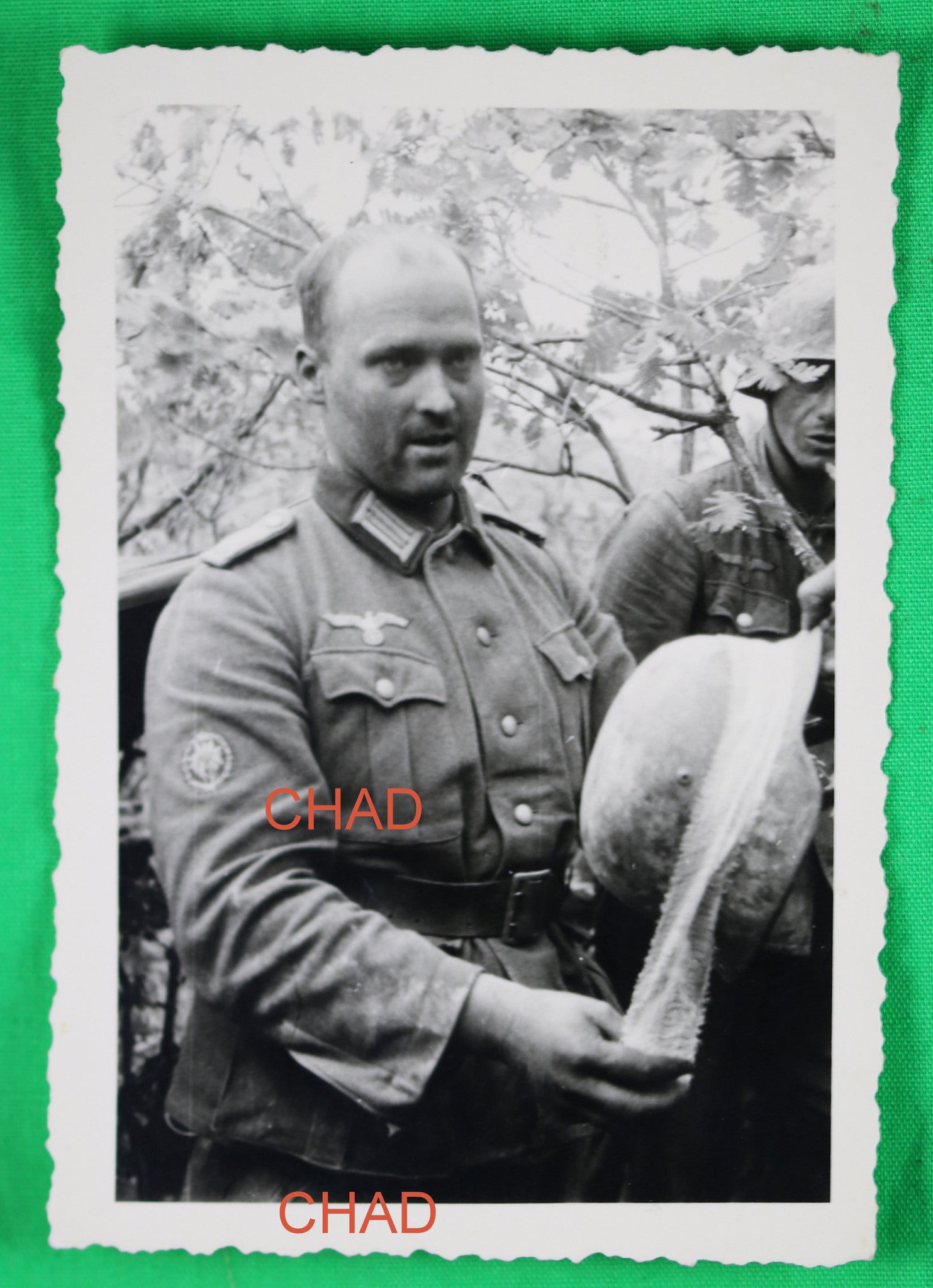 WW2 photo German officer of GEBIRGSJÄGER putting camouflage on helmet
