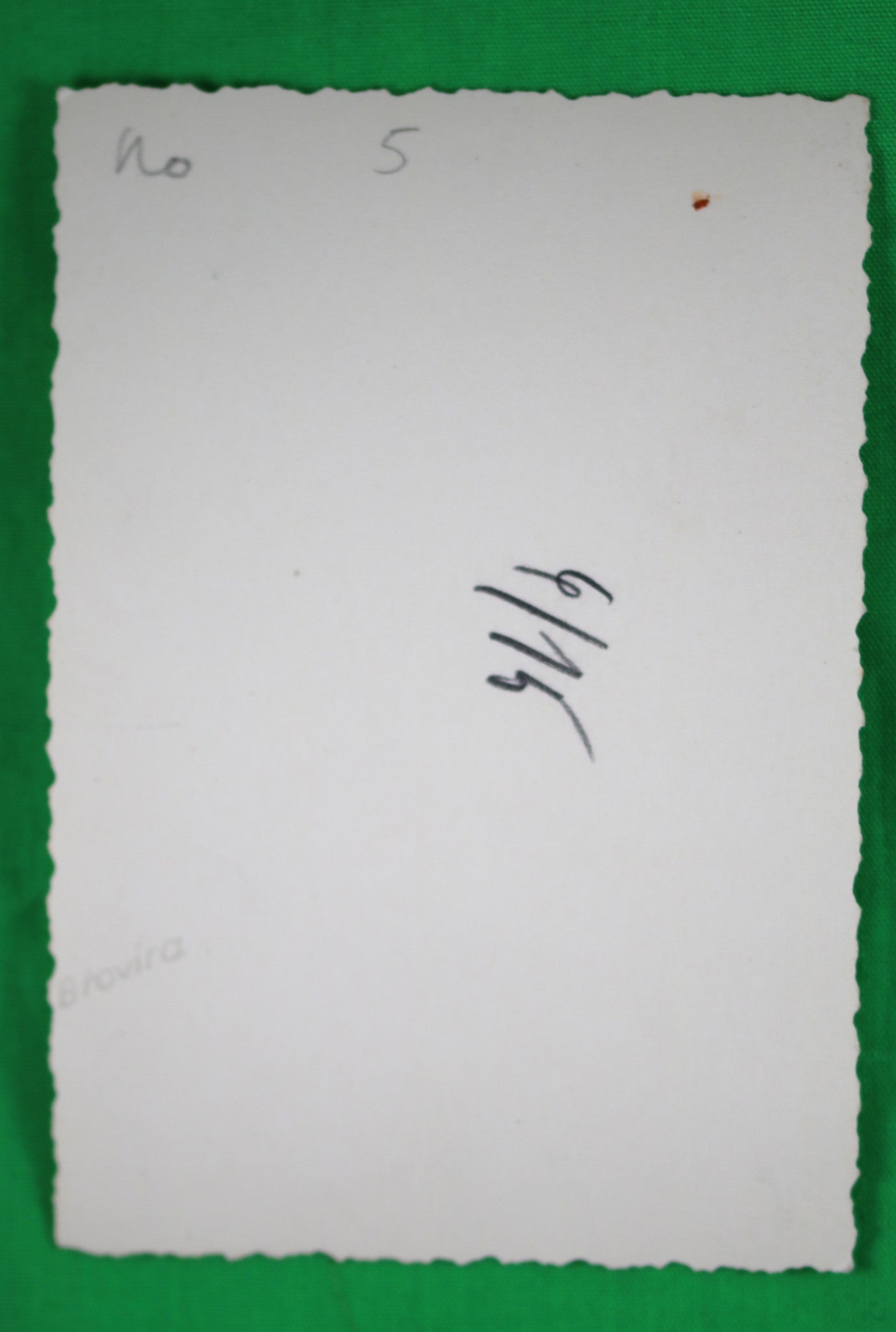 WW2 photo German officer of GEBIRGSJÄGER putting camouflage on helmet