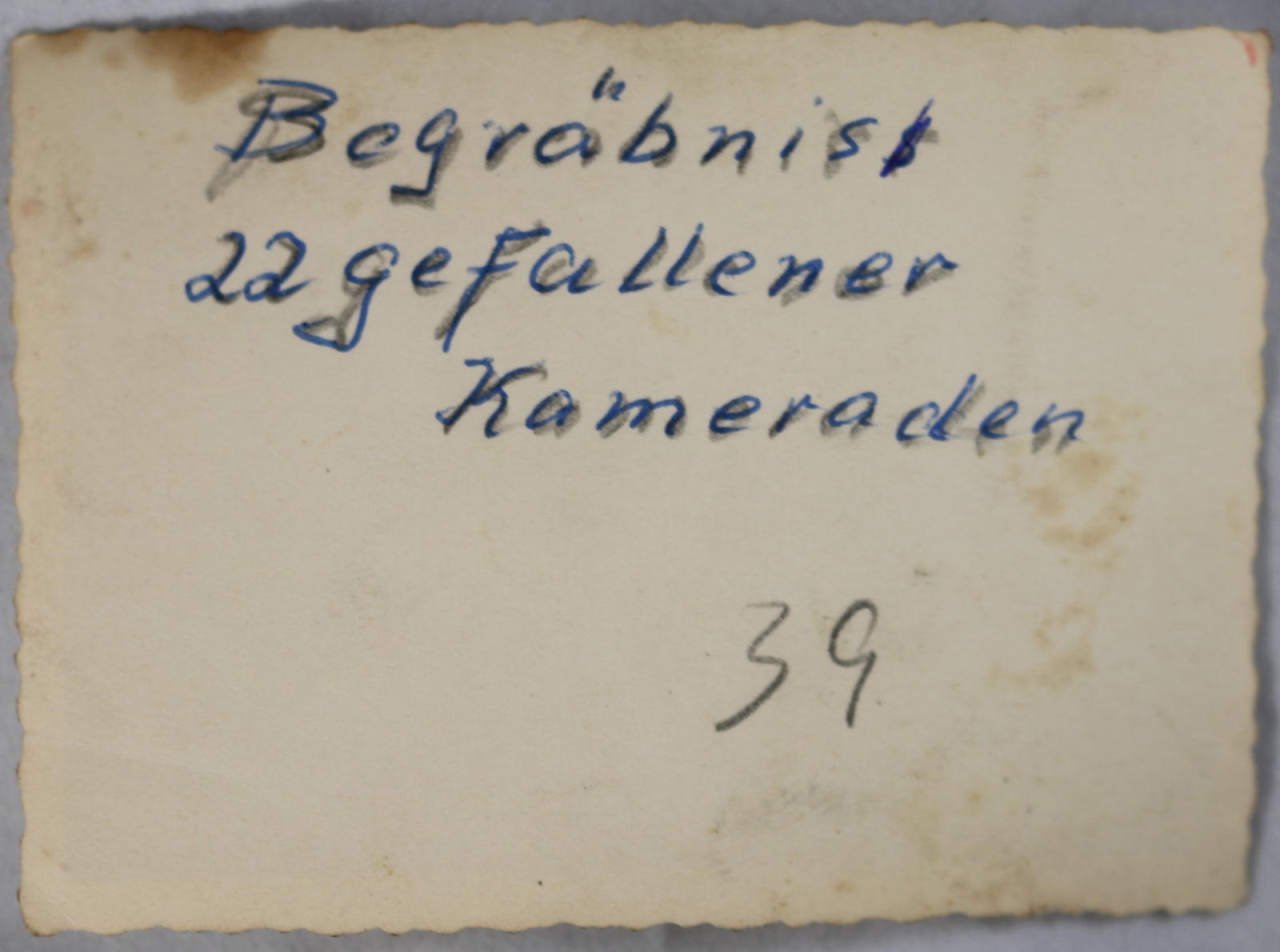 WW2 photo German soldiers at burial ceremony