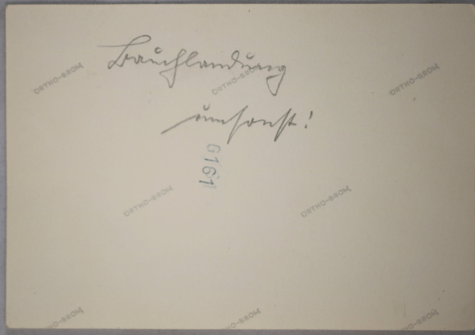 WW2 photo German soldiers inspecting plane crash