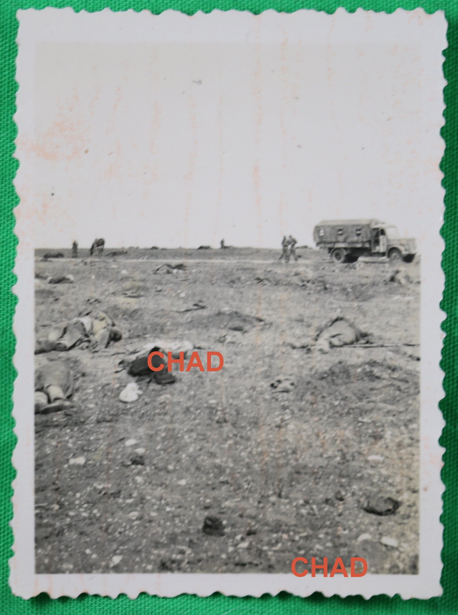 WW2 photo German soldiers overlooking battlefield dead Russia @1941