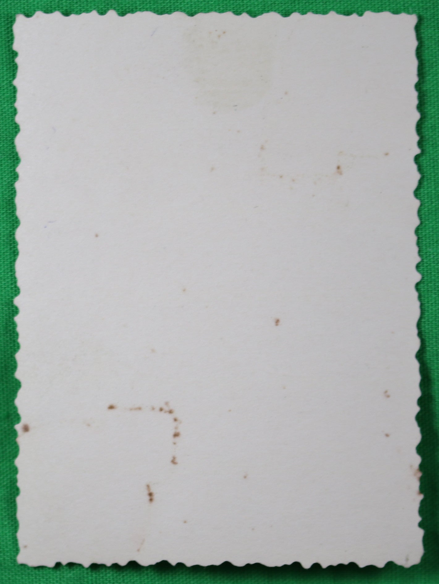 WW2 photo German soldiers overlooking battlefield dead Russia @1941