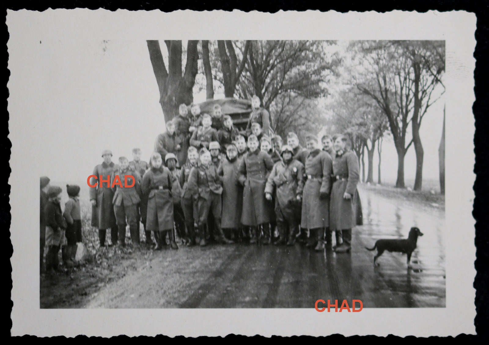 WW2 photo album of a German soldier  Guerre 39-45 album de photo