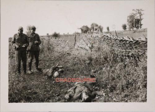 WW2 photo of German panzer division troops looking at Russian dead (194142)
