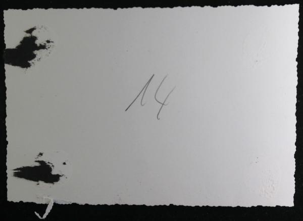 WW2 photo of crowd watching German troops