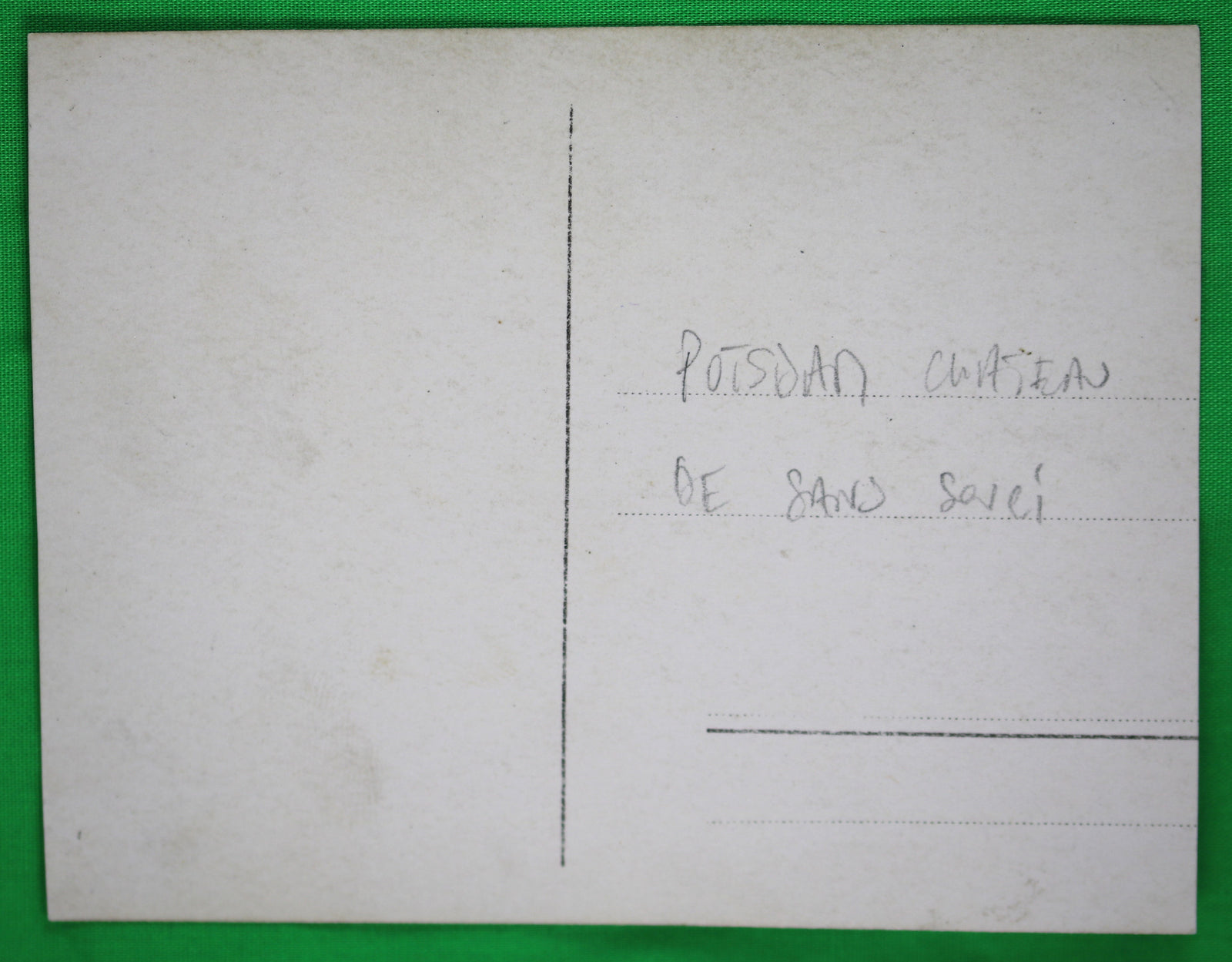 WW2 photo postcard large number German officers in front of Sanssouci Palace in Potsdam