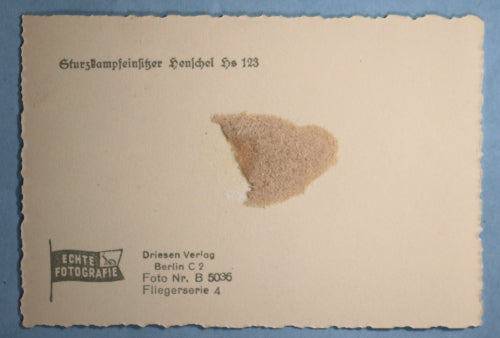 WW2 propaganda photo of German Henschel 123 on grass runway