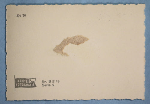 WW2 propaganda photo of Heinkel 70 in flight