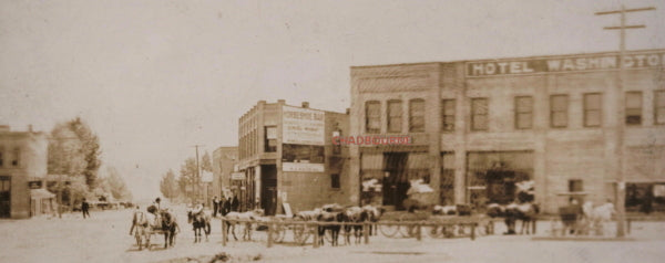 c. 1910s USA Oregon(?) photo postcard horses and Hotel Washington 